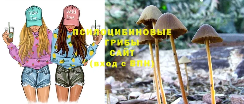 Псилоцибиновые грибы Magic Shrooms  купить  сайты  Спасск-Рязанский 